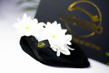 Last inn bildet i Galleri-visningsprogrammet, Lashero magic erazer